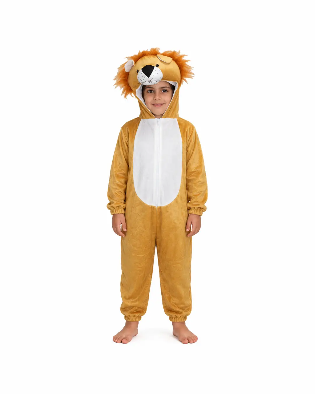 Lion Fancy Dress