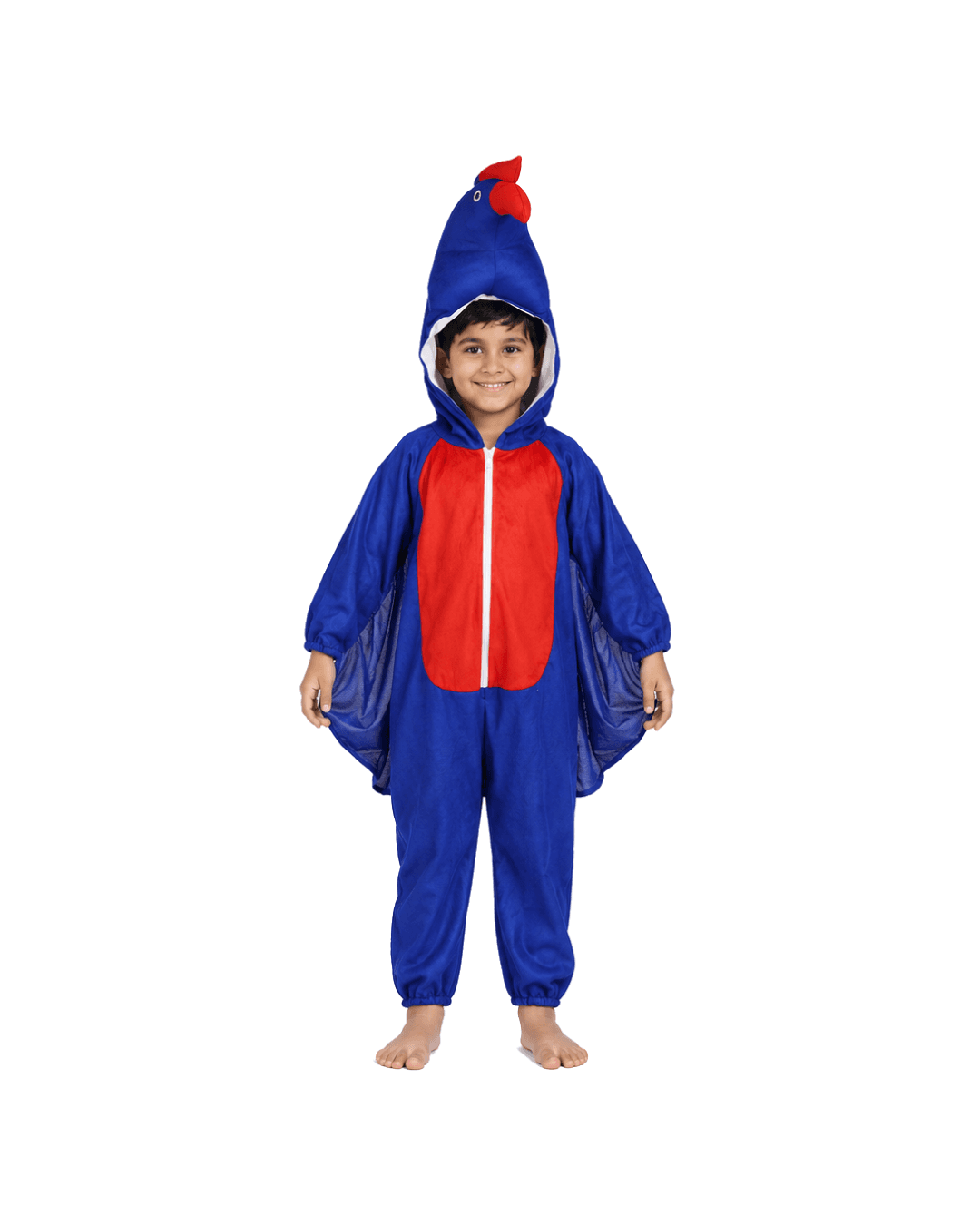 Peacock Fancy Dress