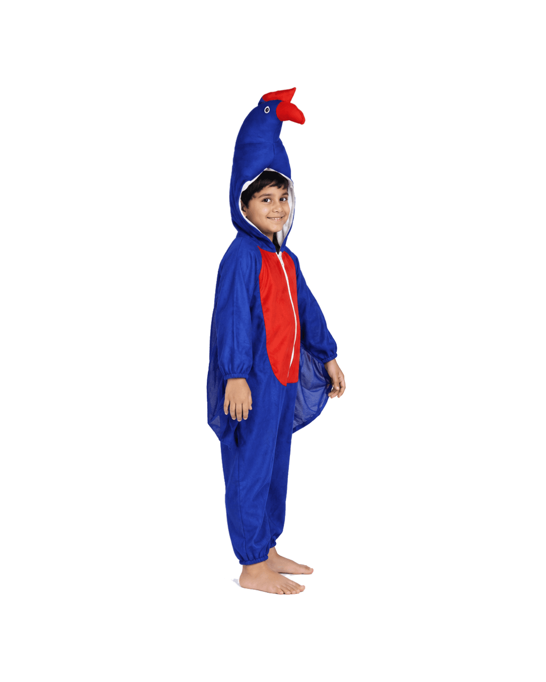 Peacock Fancy Dress thumbnail 2